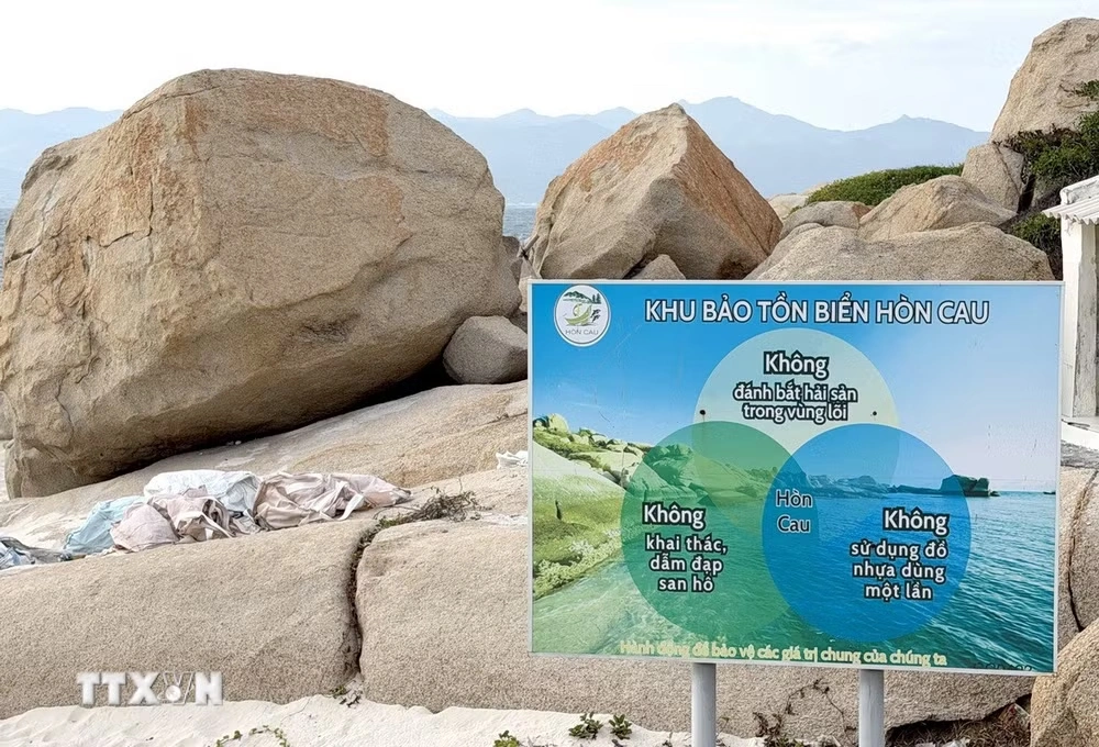 Hòn Cau - “viên ngọc xanh” giữa biển khơi hút bước chân du khách