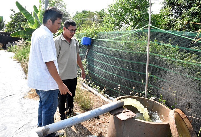 Biogas từ chất thải chăn nuôi - mô hình hiệu quả
