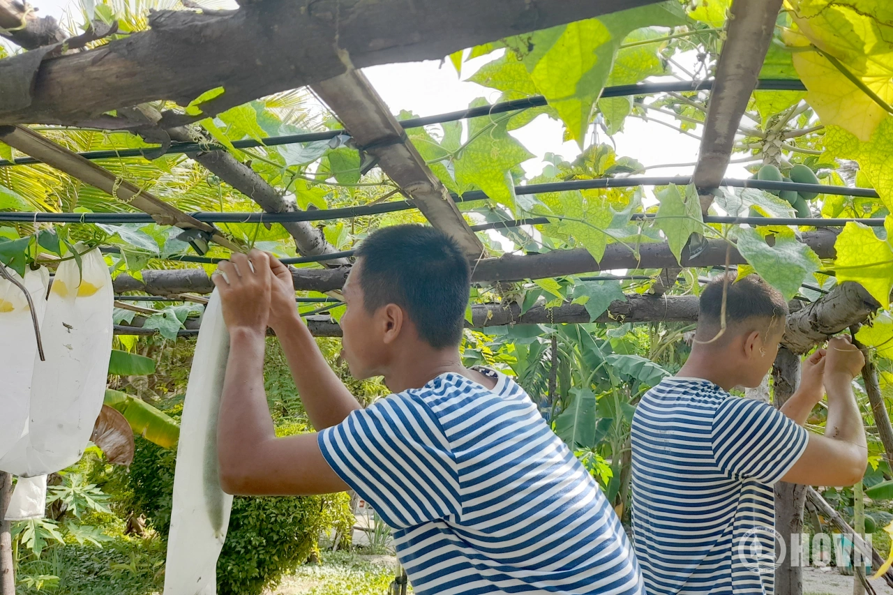 Bảo đảm hậu cần tại chỗ trên đảo Sinh Tồn