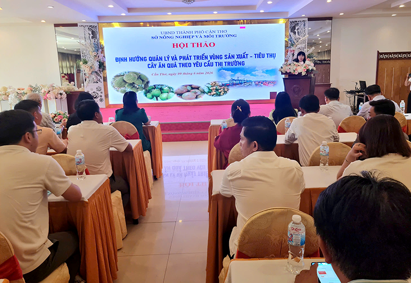 Hội thảo “Định hướng quản lý và phát triển vùng sản xuất - tiêu thụ cây ăn quả theo yêu cầu thị trường”