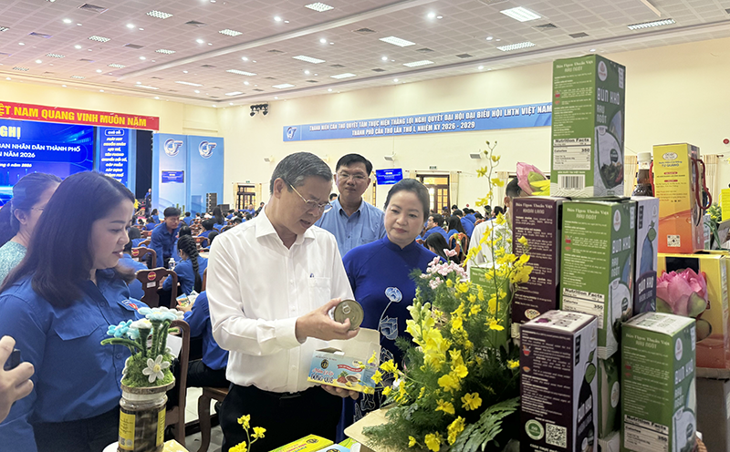 Tiếp tục hoàn thiện cơ chế, chính sách thu hút nguồn nhân lực trẻ chất lượng cao