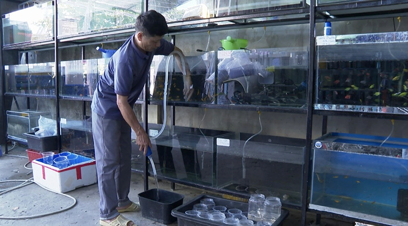 Rời biển và nỗi lo sinh kế mới