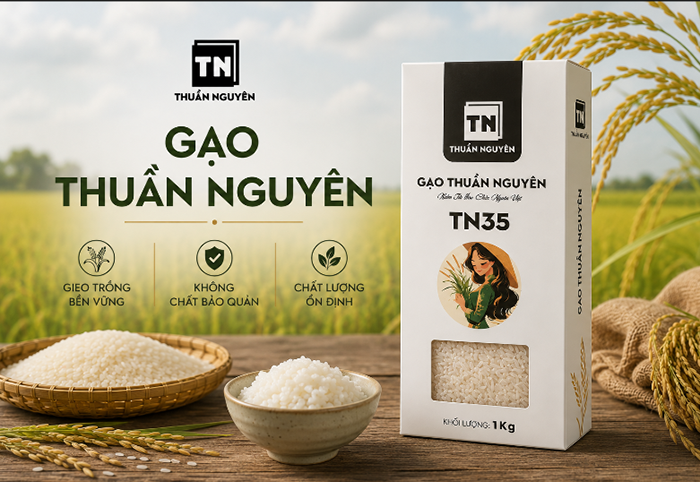 Từ Đồng Tháp đến bữa cơm gia đình Việt: Hành trình theo đuổi chất lượng của gạo Thuần Nguyên