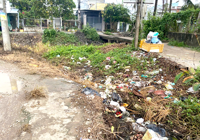 Cần dọn dẹp rác dọc tuyến đường Lý Thánh Tông