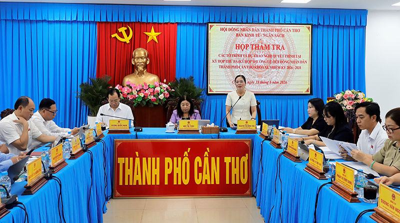 Ban Kinh tế - Ngân sách thẩm tra các báo cáo, tờ trình trình tại kỳ họp thứ 3 của HĐND TP Cần Thơ