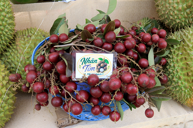 Về cồn Mỹ Phước vui hội sông nước miệt vườn