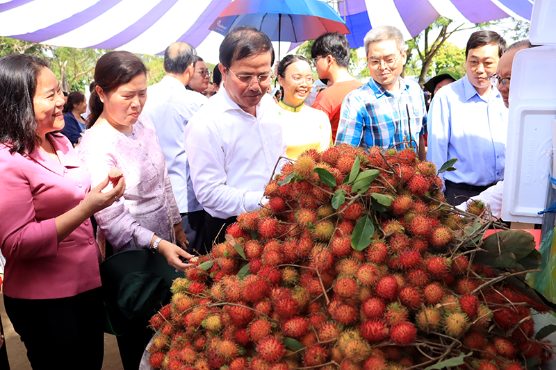 Về cồn Mỹ Phước vui hội sông nước miệt vườn