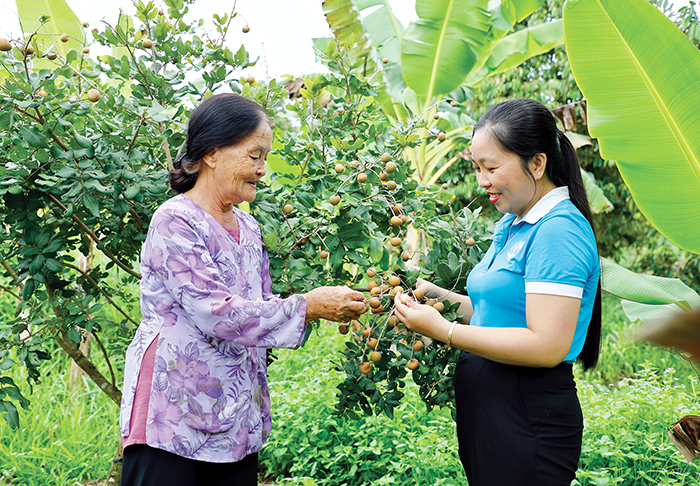 Nâng cao chất lượng giới thiệu việc làm, đào tạo nghề