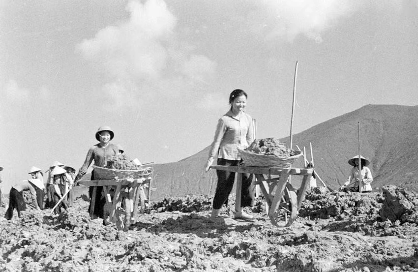 Thanh niên Việt Nam xung kích, tiên phong sáng tạo, làm chủ tương lai
