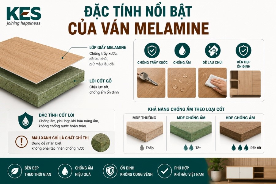 Ván Melamine: Giải pháp vật liệu nội thất bền đẹp, chống ẩm tối ưu 2026