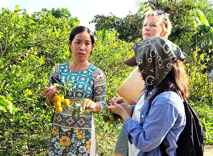 Developing agricultural production in conjunction with protecting rural environment