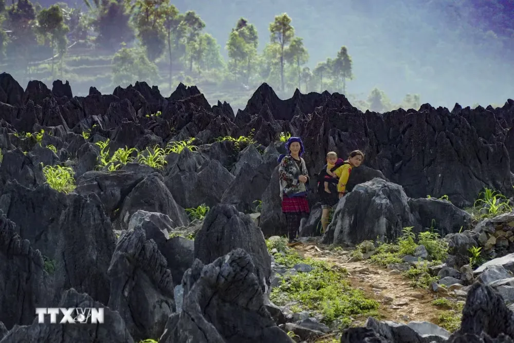 Khám phá cao nguyên đá Tủa Chùa - “tiểu Đồng Văn” giữa đại ngàn Tây Bắc