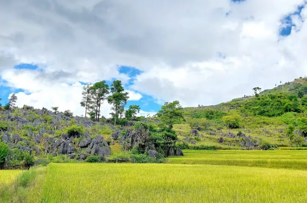 Khám phá cao nguyên đá Tủa Chùa - “tiểu Đồng Văn” giữa đại ngàn Tây Bắc