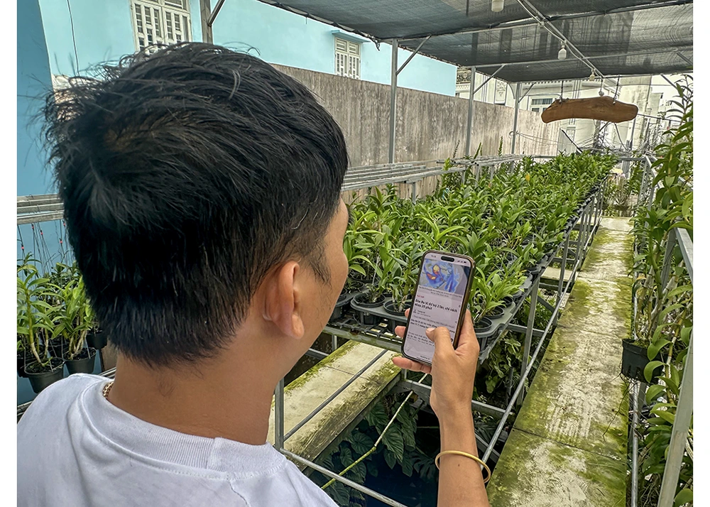 Cảnh báo sớm - Lá chắn bảo vệ sinh kế trước thiên tai