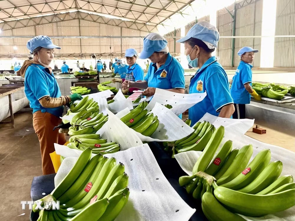 Tháo gỡ điểm nghẽn, mở rộng cửa cho trái cây Việt vào thị trường Trung Quốc