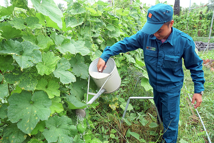 Thi đua tăng gia sản xuất