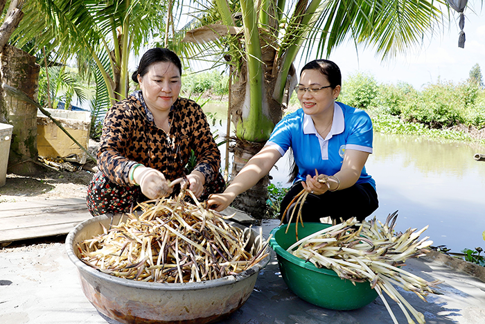 Kinh tế tập thể tiếp sức lao động nữ