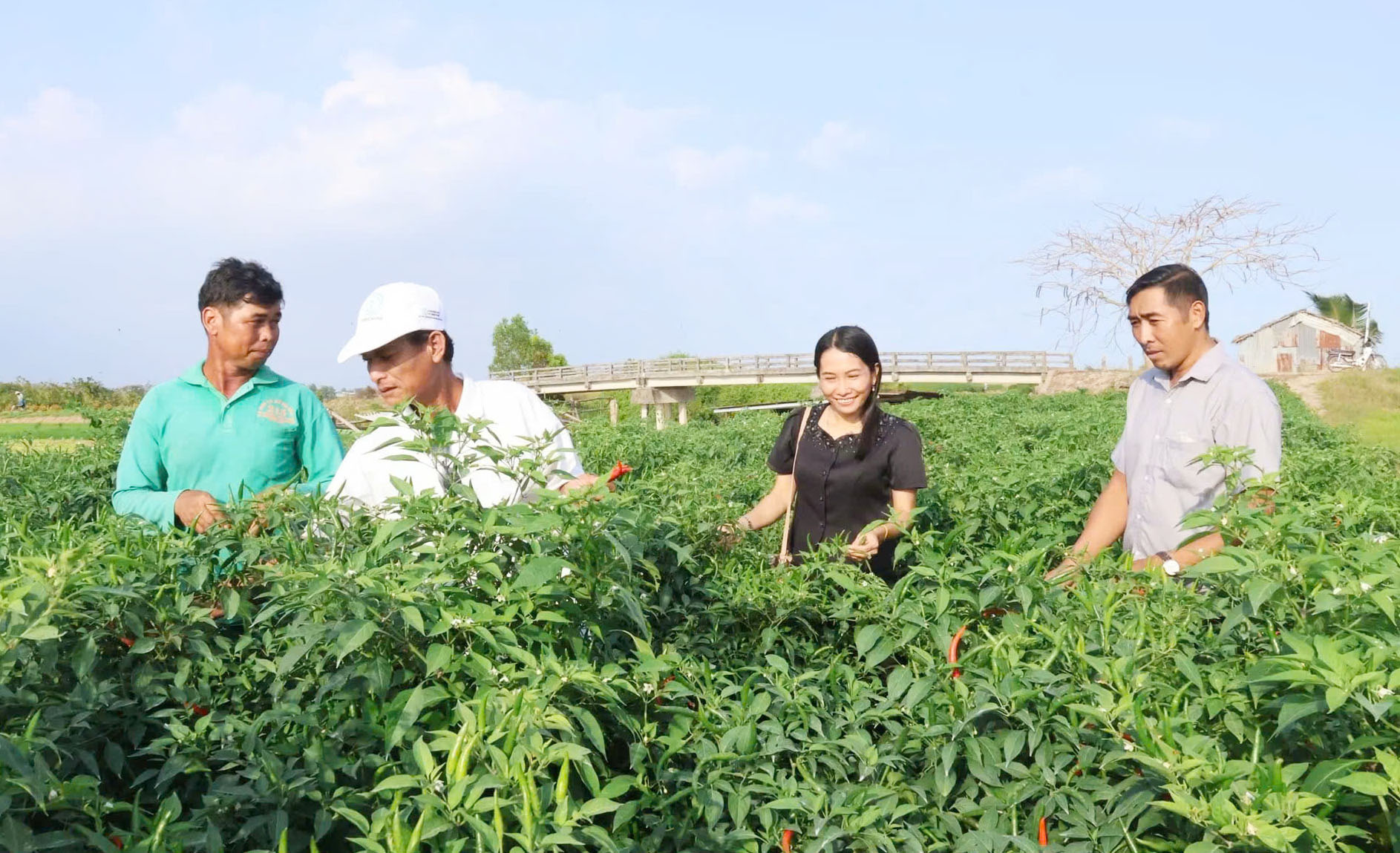 រួមដំណើរជាមួយកសិករខ្មែរធ្វើមាន
