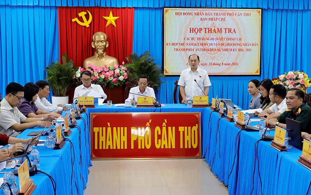 Thống nhất trình HĐND thành phố xem xét, quyết định chính sách hỗ trợ một lần cho người hoạt động không chuyên trách ở ấp, khu vực nghỉ việc