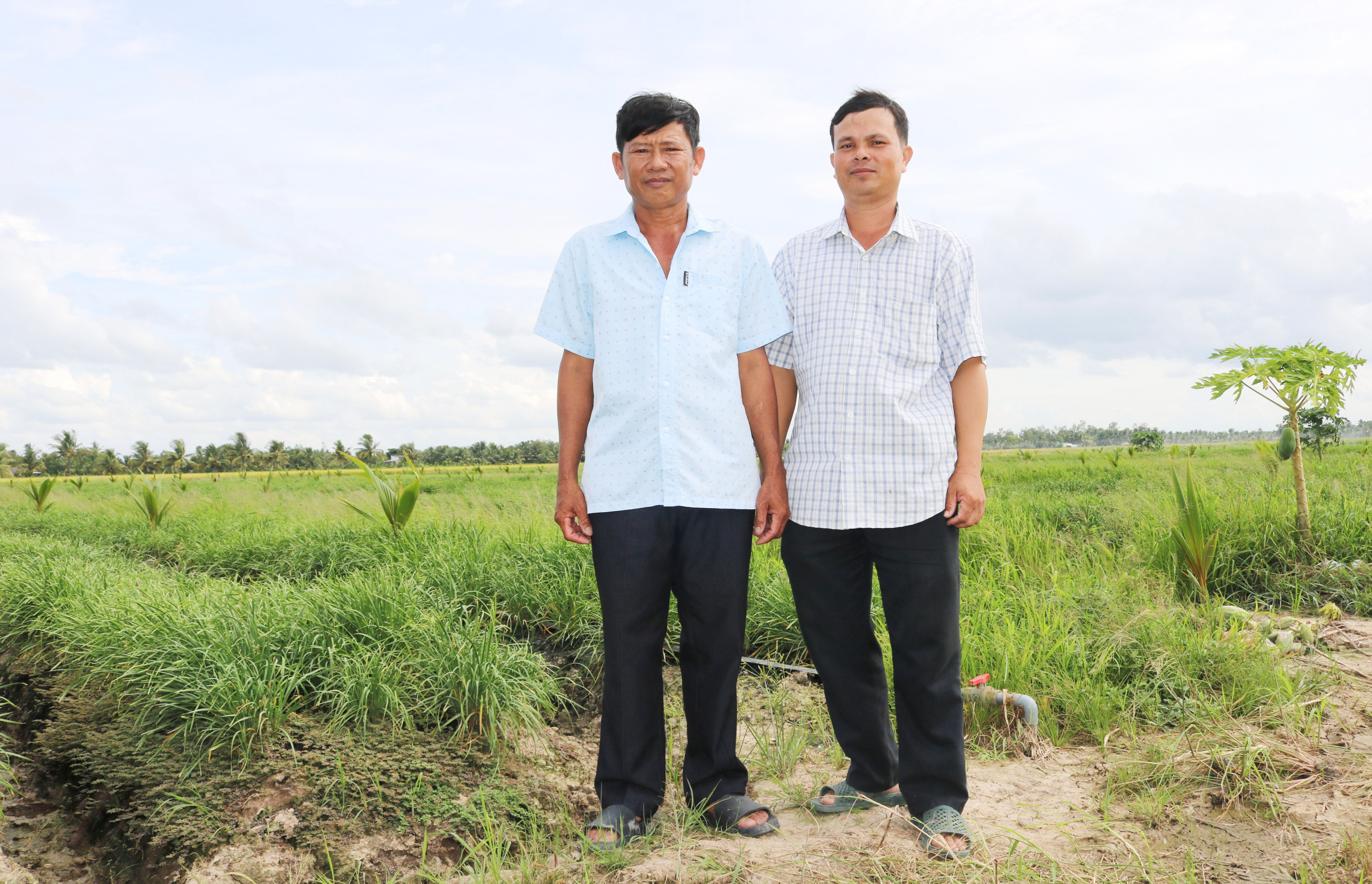 ទម្រង់ដាំគូឆាយបាញ់ទឹកសន្សើមផ្តល់ប្រសិទ្ធភាពសេដ្ឋកិច្ចខ្ពស់