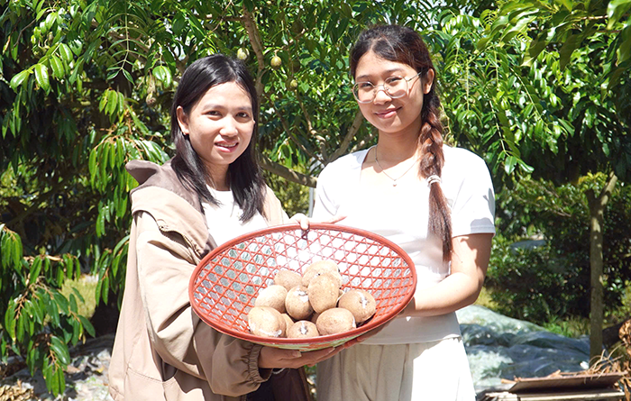 Làm du lịch từ... vườn nhà