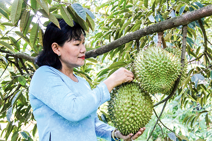 Cái Răng tập trung tái cơ cấu ngành Nông nghiệp