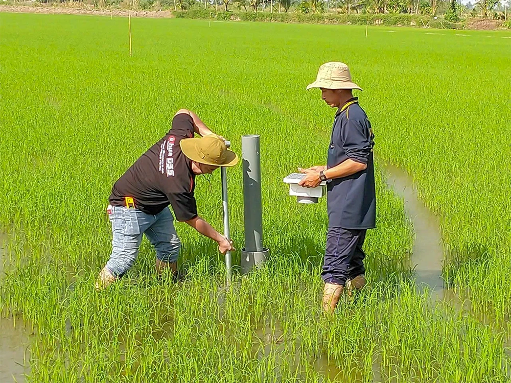 Chuẩn hóa đội ngũ giảng viên nguồn để bảo đảm quy trình sản xuất lúa chất lượng cao, phát thải thấp