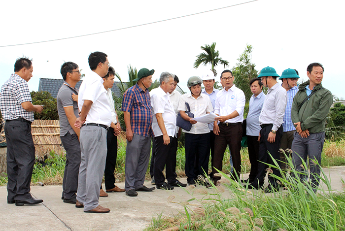 Triển khai xây dựng công trình khẩn cấp gia cố sạt lở bờ sông Hậu tại xã Cù Lao Dung