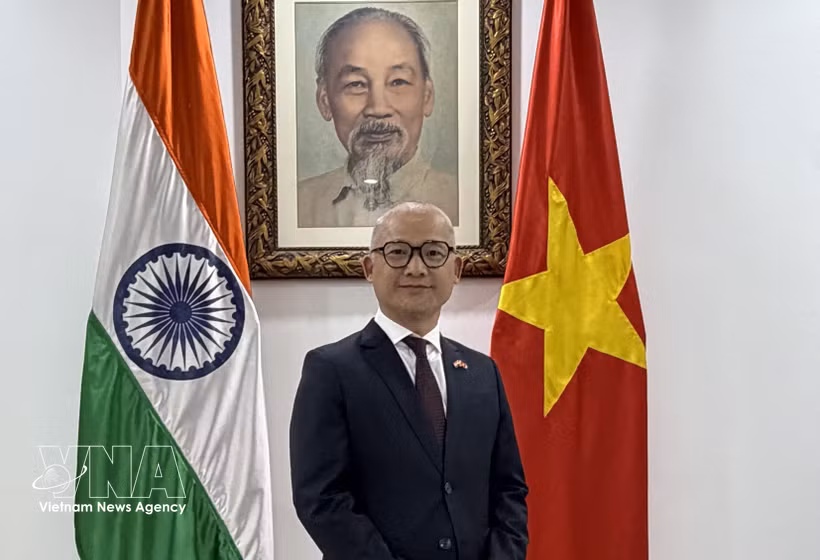 Vietnam promotes role as BRICS’ partner: ambassador