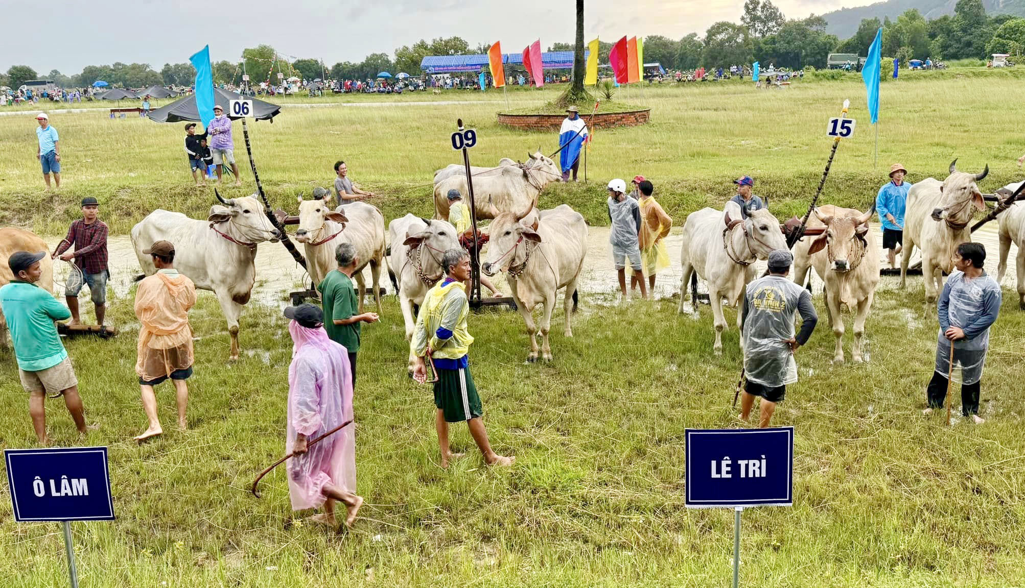 ពិធីប្រណាំងគោនៅវត្តរោទ៍-លក្ខណៈវប្បធម៌ខ្មែរដ៏ល្អនៅតំបន់បៃណូយ