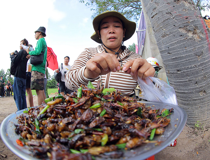 Từng bừng hội đua bò chùa Rô