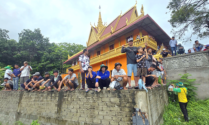 Từng bừng hội đua bò chùa Rô