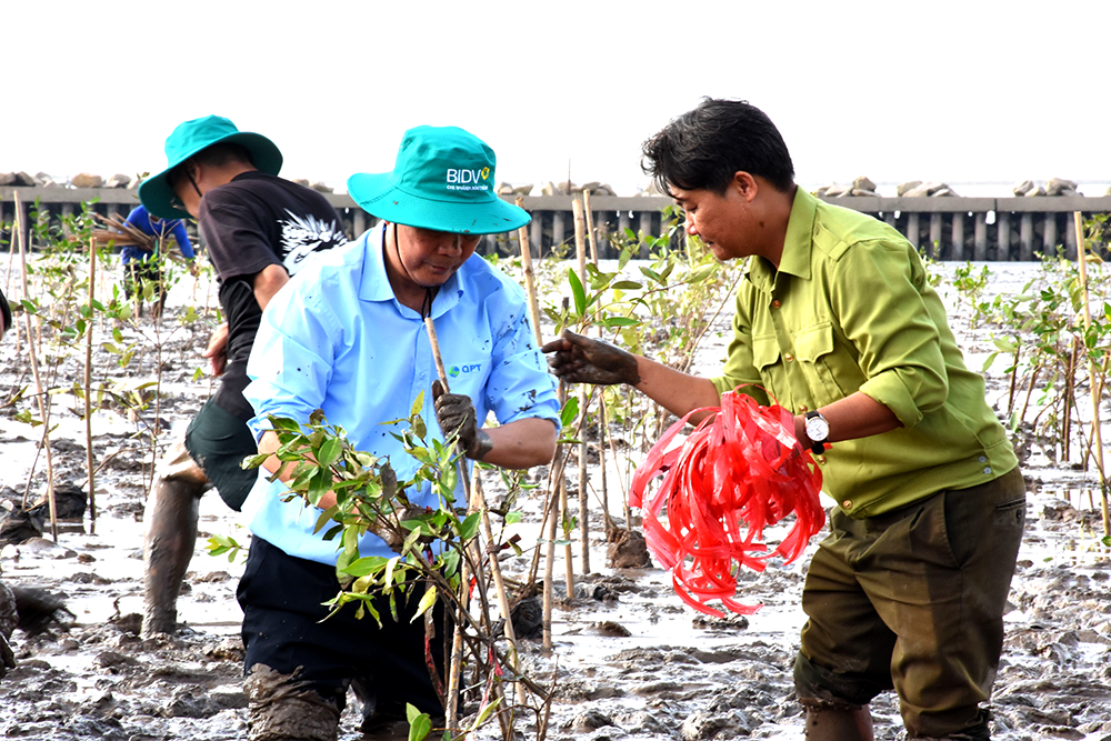 Bảo vệ rừng là giữ gìn sinh kế