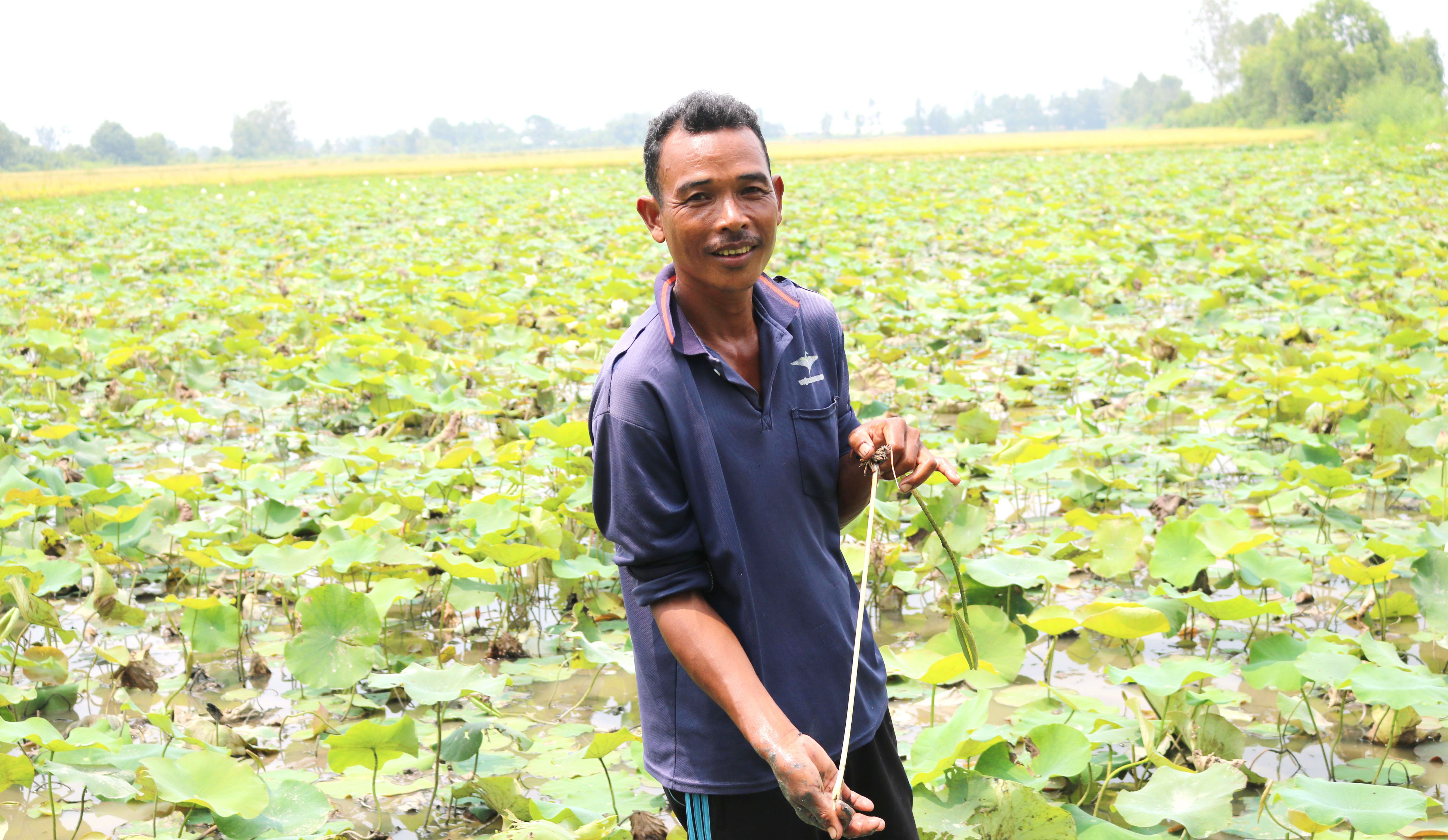 លំនឹងជីវភាពផ្តើមពីដាំឈូកយកក្រឳ