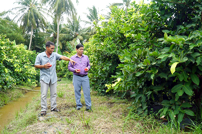 Quyết tâm đưa Đại Ngãi bứt phá phát triển