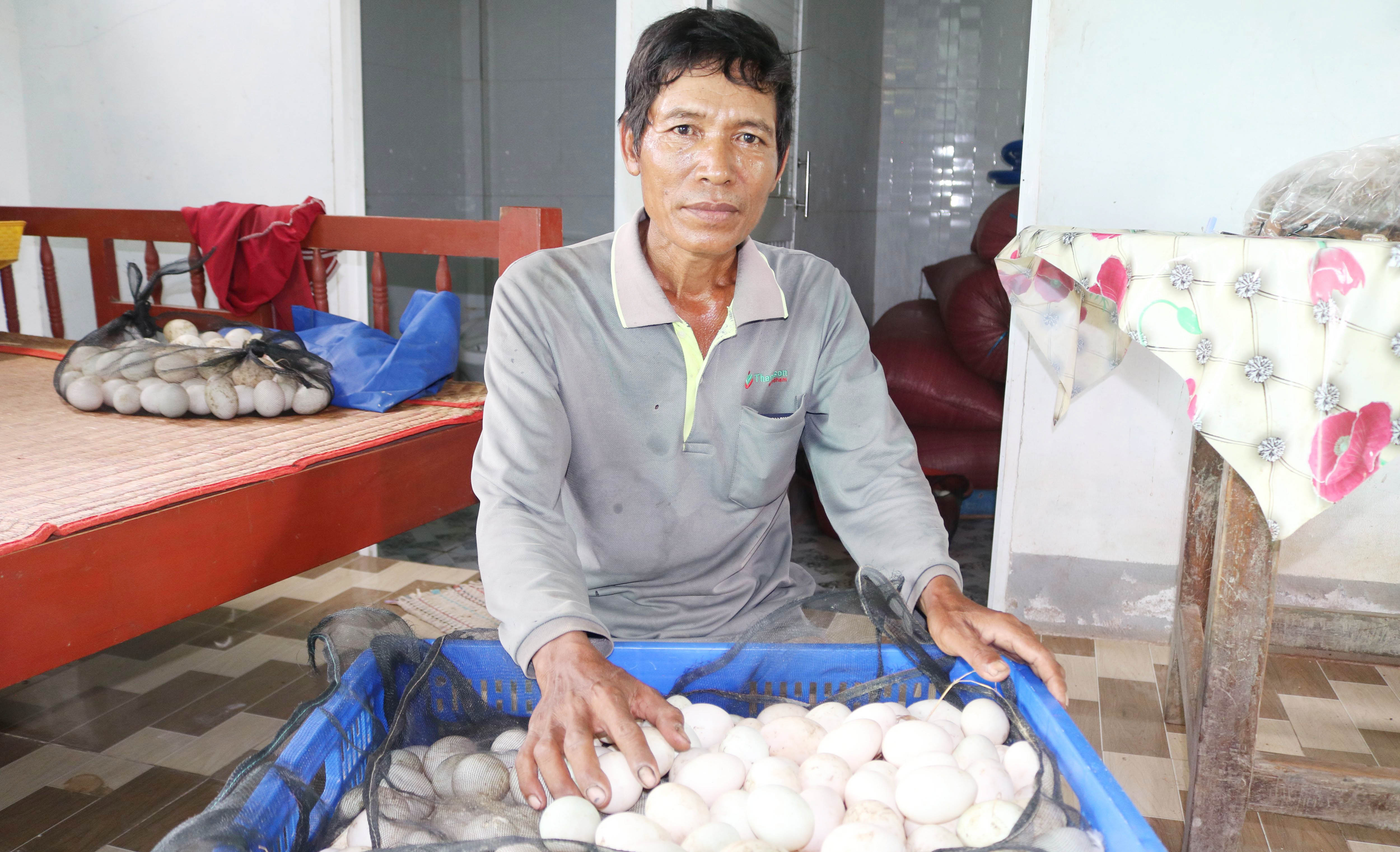ចិញ្ចឹមទាពងរត់វាល លំនឹងសេដ្ឋកិច្ចគ្រួសារ