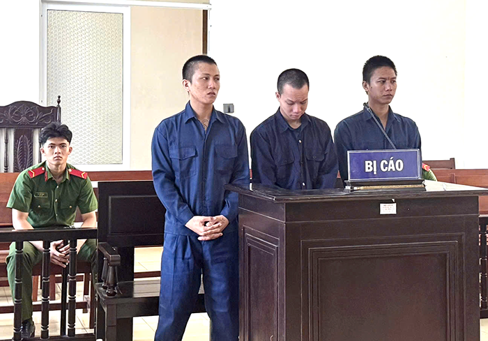 Tổ chức sử dụng ma túy, 3 bị cáo lãnh án