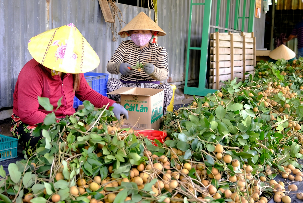 Tăng tốc hoàn thành mục tiêu xây dựng nông thôn mới năm 2026