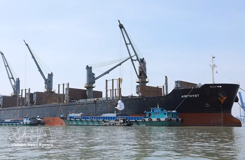 Vietnam posts trade surplus after nine months of deficit