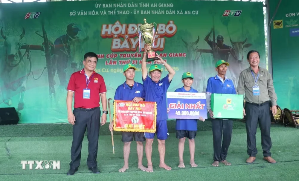 Hội đua bò Bảy Núi lan tỏa giá trị văn hóa của đồng bào Khmer Nam Bộ