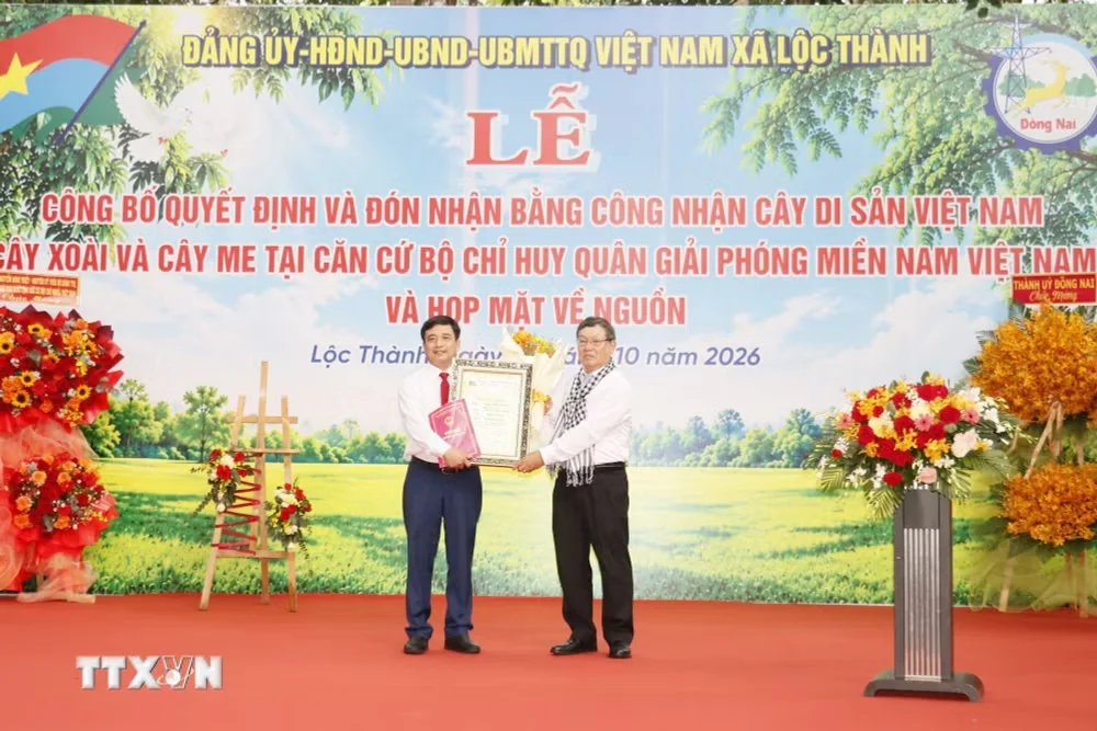 Hai cây cổ thụ tại Căn cứ Bộ Chỉ huy Miền được công nhận Cây Di sản Việt Nam