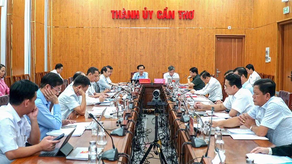 Các cửa ngõ vào trung tâm thành phố, các vòng xoay và cầu Cần Thơ phải trang hoàng thật ấn tượng trong dịp Tết Đinh Mùi năm 2027