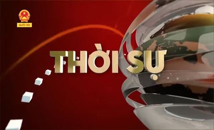 Thời sự - Cần Thơ- Các hộ chăn nuôi heo thịt gặp khó khăn