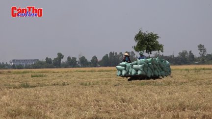 Phát triển ĐBSCL phải “thuận thiên” để không hối tiếc