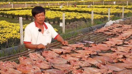 Xóm nghề khô cá lóc vào Tết