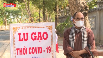 “Lu gạo thời COVID-19”