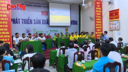 Nông dân Cần Thơ thi tài sản xuất lúa gạo bền vững