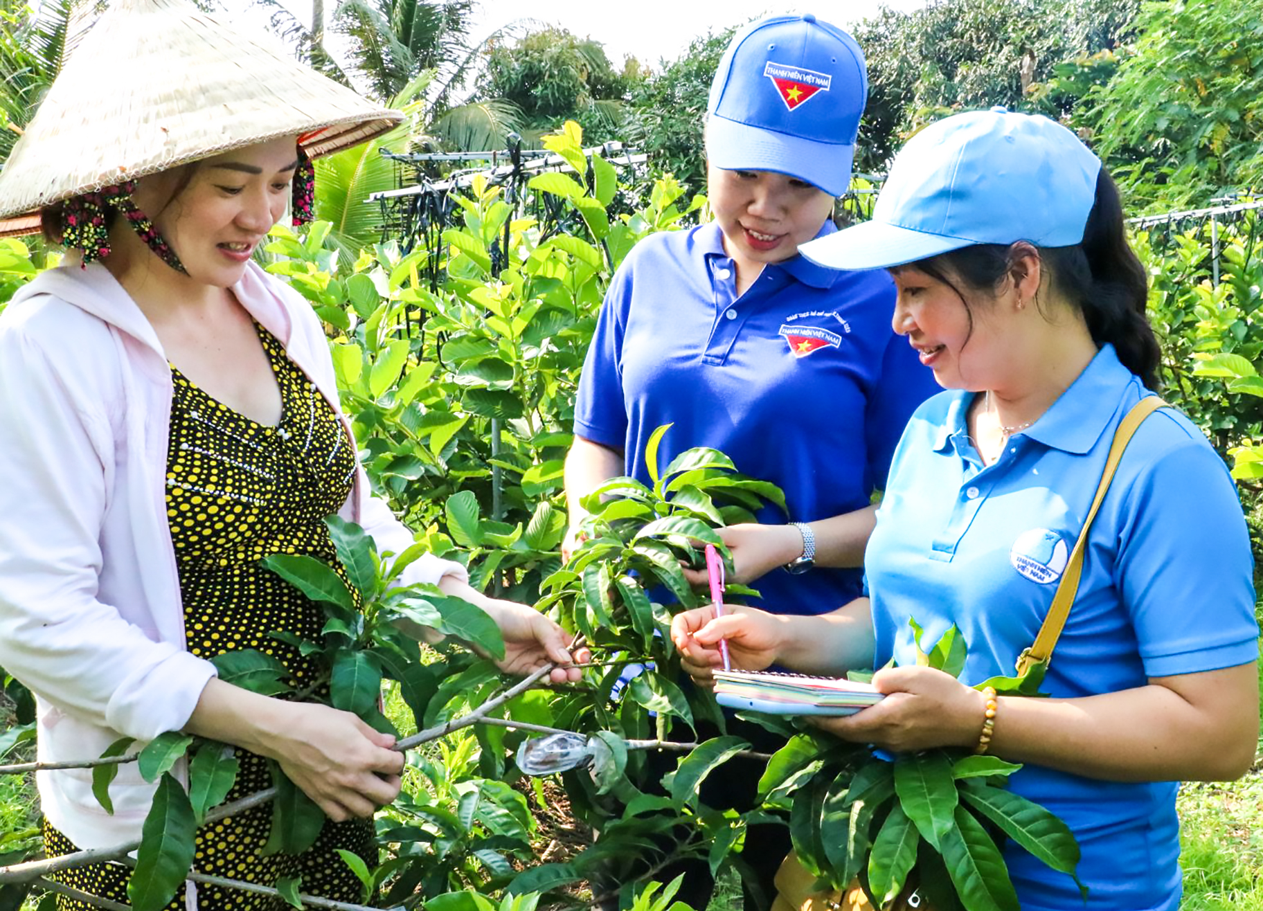 Nhiều hoạt động chăm lo, giúp đỡ thanh niên khởi nghiệp cũng được các cấp bộ Đoàn triển khai. Trong ảnh: Quận đoàn Thốt Nốt khảo sát mô hình sản xuất cây giống kết hợp du lịch của chị Ngô Thị Huê, phường Tân Lộc.
