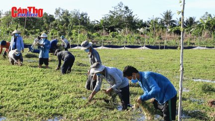 Nghĩa tình ở Hợp tác xã Thân Thiện