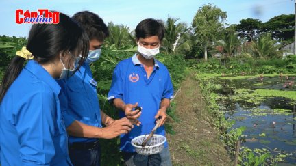 Thanh niên làm giàu với mô hình nuôi ốc bươu